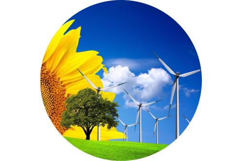 Environment & Ecology